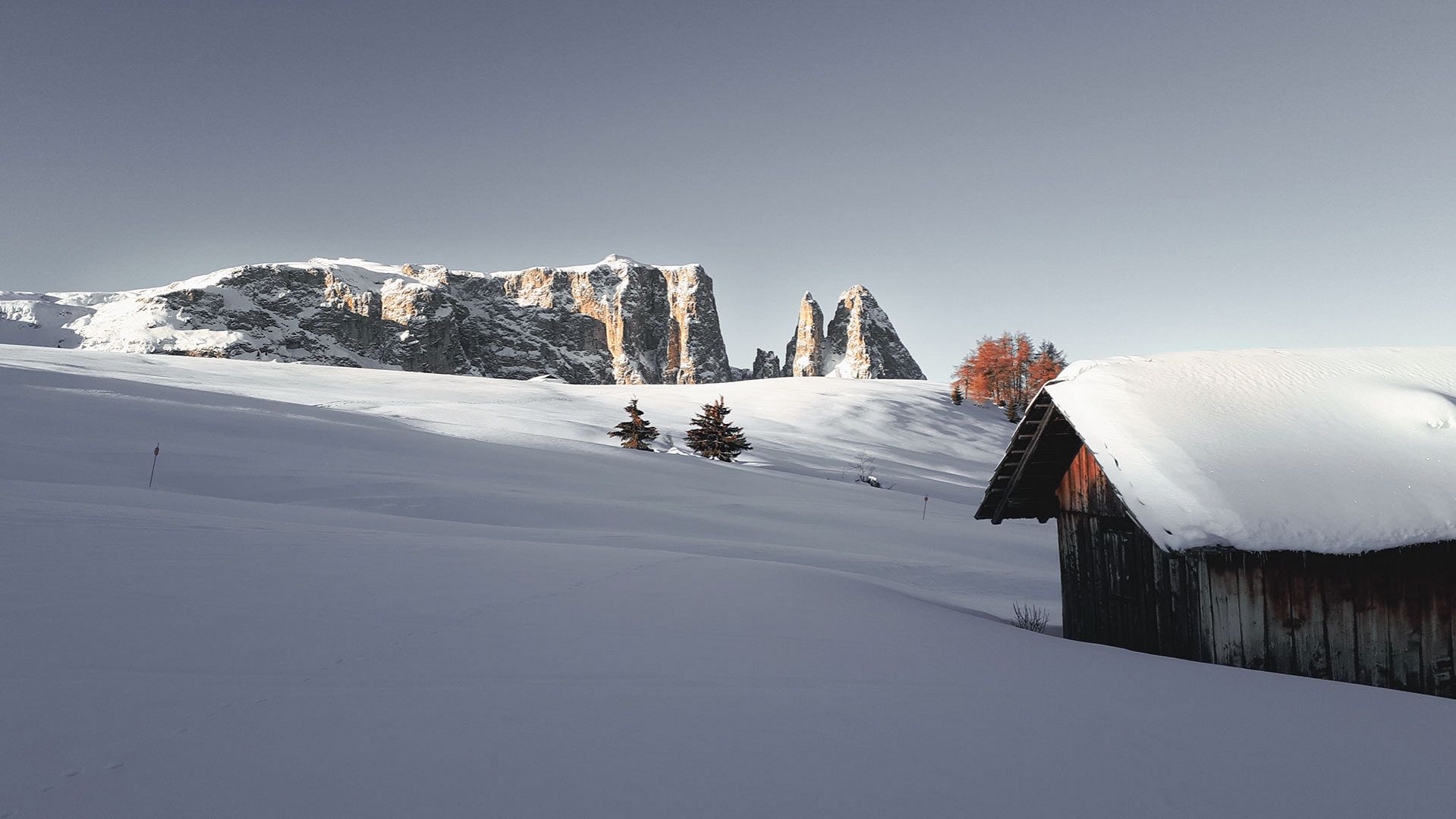 Schlern von der Seiser Alm